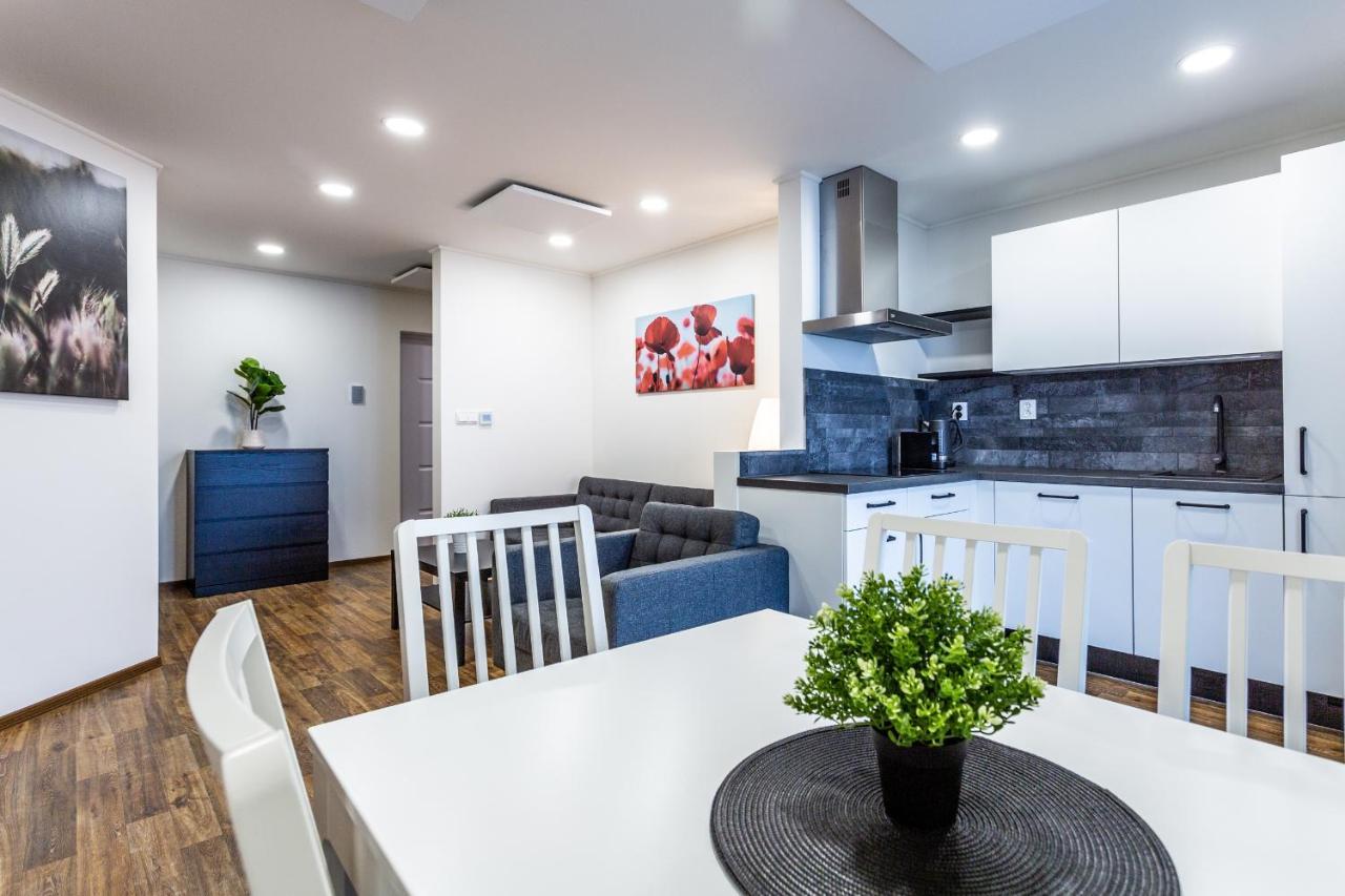 Apartmany Na Vyhledech Loučná pod Klínovcem 外观 照片