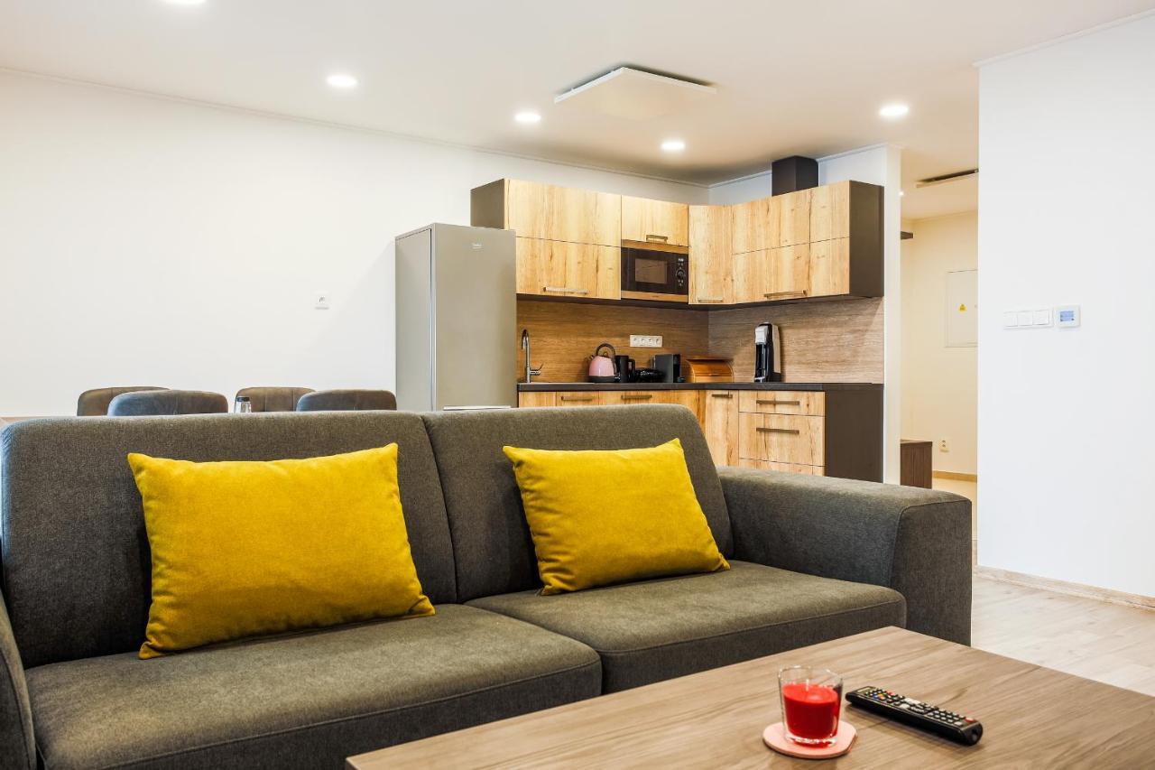 Apartmany Na Vyhledech Loučná pod Klínovcem 外观 照片